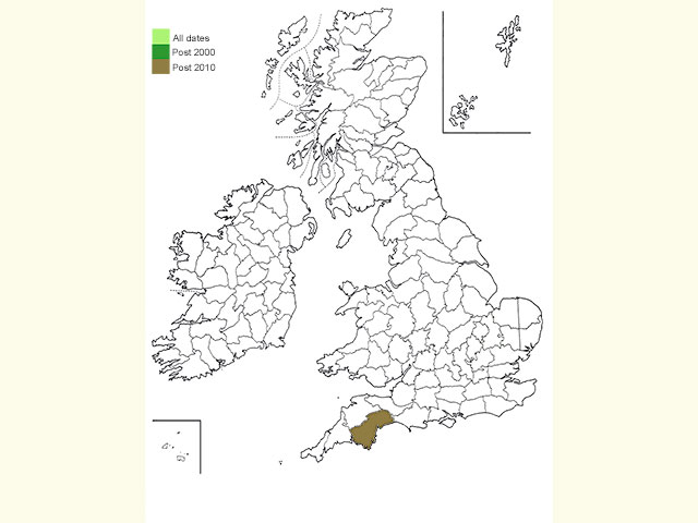  Distribution map Copyright Martin Evans 