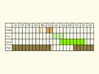  Life stages table Copyright Martin Evans 