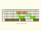  Life stages table Copyright Martin Evans 