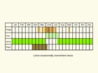  Life stages table Copyright Martin Evans 