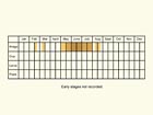  Life stages table Copyright Martin Evans 