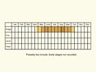  Life stages table Copyright Martin Evans 