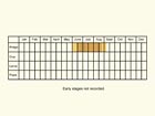  Life stages table Copyright Martin Evans 