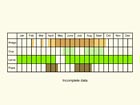  Life stages table Copyright Martin Evans 