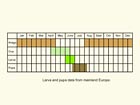  Life stages table Copyright Martin Evans 