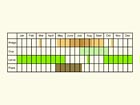  Life stages table Copyright Martin Evans 