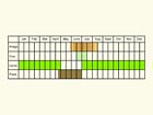  Life stages table Copyright Martin Evans 