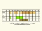  Life stages table Copyright Martin Evans 