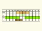  Life stages table Copyright Martin Evans 