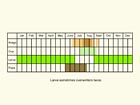  Life stages table Copyright Martin Evans 