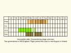  Life stages table Copyright Martin Evans 