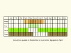  Life stages table Copyright Martin Evans 