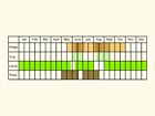  Life stages table Copyright Martin Evans 