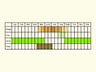  Life stages table Copyright Martin Evans 