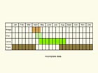  Life stages table Copyright Martin Evans 