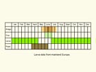  Life stages table Copyright Martin Evans 