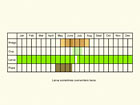  Life stages table Copyright Martin Evans 