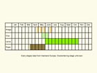  Life stages table Copyright Martin Evans 