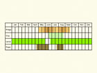  Life stages table Copyright Martin Evans 