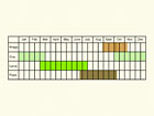  Life stages table Copyright Martin Evans 