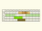  Life stages table Copyright Martin Evans 