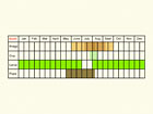  Life stages table Copyright Martin Evans 