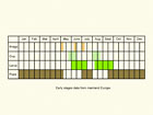  Life stages table Copyright Martin Evans 