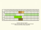  Life stages table Copyright Martin Evans 