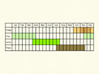  Life stages table Copyright Martin Evans 