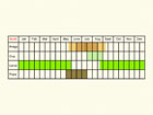  Life stages table Copyright Martin Evans 