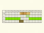  Life stages table Copyright Martin Evans 