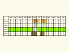  Life stages table Copyright Martin Evans 