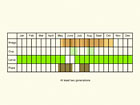  Life stages table Copyright Martin Evans 