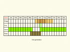  Life stages table Copyright Martin Evans 