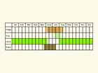  Life stages table Copyright Martin Evans 