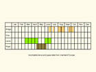  Life stages table Copyright Martin Evans 