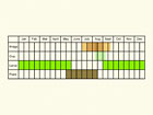  Life stages table Copyright Martin Evans 