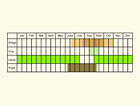  Life stages table Copyright Martin Evans 