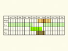  Life stages table Copyright Martin Evans 