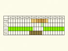  Life stages table Copyright Martin Evans 