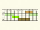  Life stages table Copyright Martin Evans 