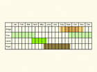  Life stages table Copyright Martin Evans 