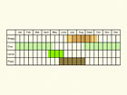  Life stages table Copyright Martin Evans 