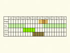  Life stages table Copyright Martin Evans 