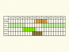  Life stages table Copyright Martin Evans 