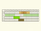  Life stages table Copyright Martin Evans 