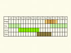  Life stages table Copyright Martin Evans 