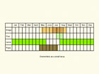  Life stages table Copyright Martin Evans 