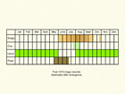  Life stages table Copyright Martin Evans 