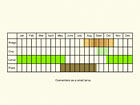  Life stages table Copyright Martin Evans 